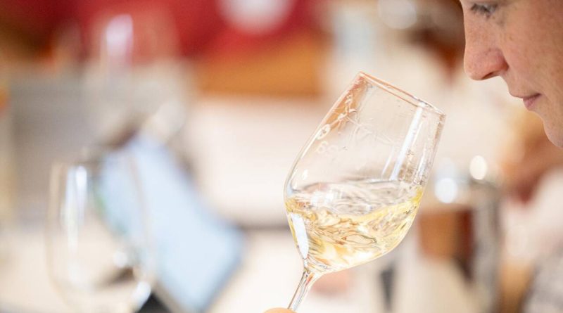 Près de 150 jurés pour plus de 3000 crus dégustés: immersion au cœur du jury du Grand Prix du vin suisse - Le Temps