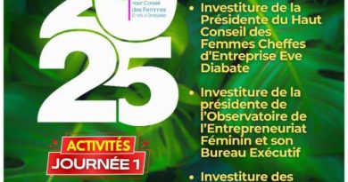 Programme Constellation et Université des Entrepreneuses / Cap sur l’autonomisation des femmes - P'Africa TV
