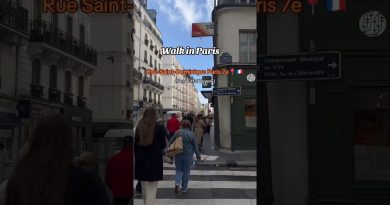 Promenade à Paris : Rue Saint-Dominique, 7e arrondissement
