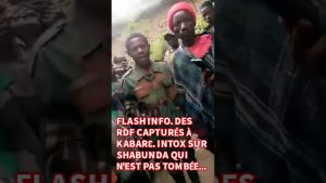 RDF capturés à KabarƐ : Clarifications sur Shabunda