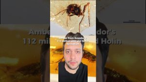 Réchauffement climatique : Prix Nobel et outil de l'âge de pierre