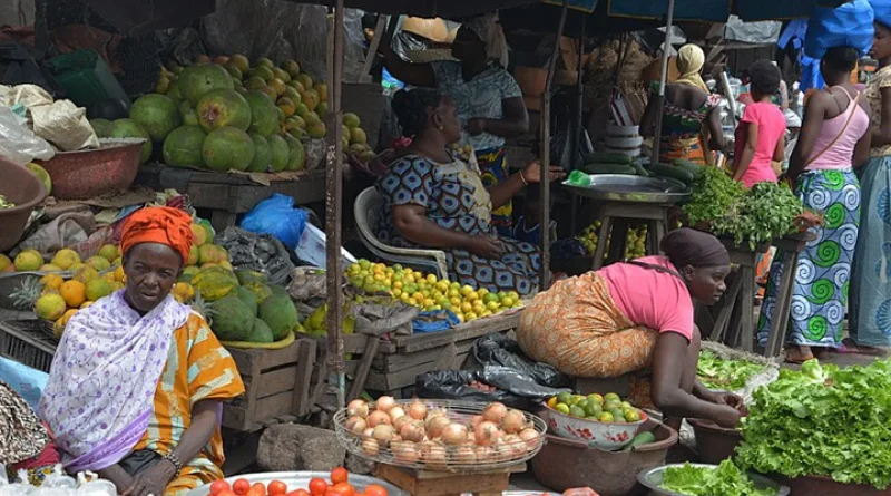 Rencontre internationale : l’héritage de Mamadou Dia pour l’Afrique sub-saharienne