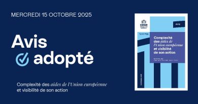 Rendre plus visible l’action de l’Union et mieux renforcer l’adhésion des citoyens au projet européen | Le Conseil économique social et environnemental