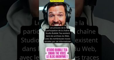 Révélations sur le blog anonyme contre la famille de Néo