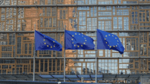 Loi anti-déforestation : les ambassadeurs de l'UE demandent un report de l'application des règles