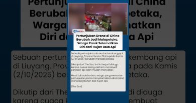 Spectacle de drones et feux d'artifice en Chine : panique et chaos