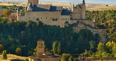 Centre-Val de Loire, Orléans, Tours, Loire river, castle, vineyard, forest, landscape