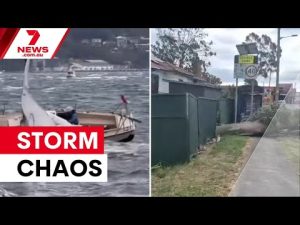 Sydney frappée par des vents violents | 7NEWS