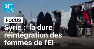 Syrie : la réintégration difficile des femmes de l'EI