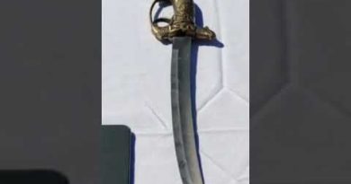 Tabessa : 5 arrestations et 13 moutons volés récupérés