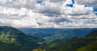Temasek investit dans les forêts d'Amérique latine avec BTG Pactual TIG