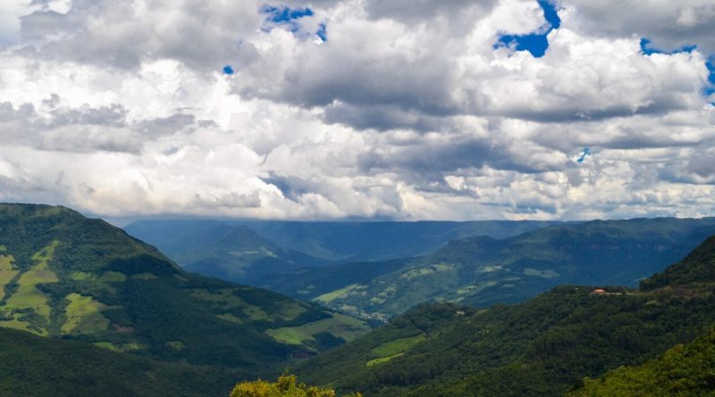 Temasek investit dans les forêts d'Amérique latine avec BTG Pactual TIG