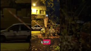 Tempête Benjamin : Impact écologique à Grenoble