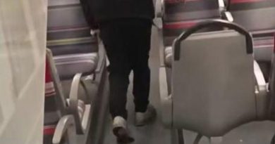 Tentative de viol dans le RER C : le suspect interpellé conteste les faits et sera déféré