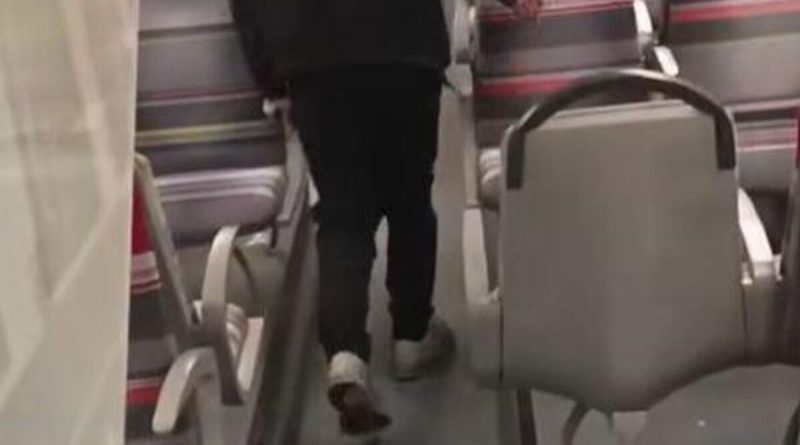 Tentative de viol dans le RER C : le suspect interpellé conteste les faits et sera déféré