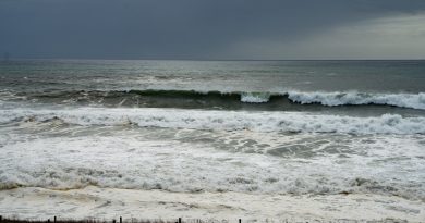 BFM CLIMAT