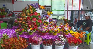 Toussaint 2.0 : quand l'innovation se mêle à la tradition