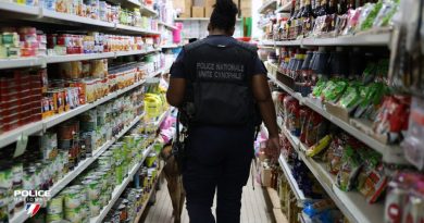 Travail dissimulé et blanchiment : deux commerçants cayennais en garde à vue