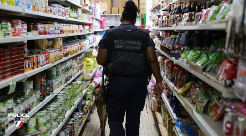 Travail dissimulé et blanchiment : deux commerçants cayennais en garde à vue