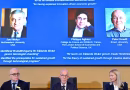 Trois experts de la croissance, dont un Français, se partagent le prix Nobel d’économie 2025