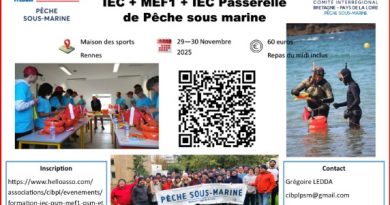 Stage PSM IEC MEF1 Passerelle 2025