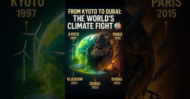UNFCCC & COPs Explained | How the World Fights Climate Change 🌏