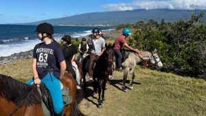 Un "Grand Raid"… mais à cheval : la Grande Chevauchée fait son grand retour