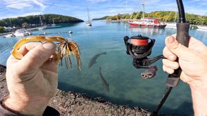 Un Gros Bar Peut En Cacher Un Autre : Pêche au Leurre