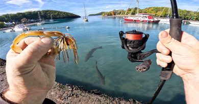 Un Gros Bar Peut En Cacher Un Autre : Pêche au Leurre