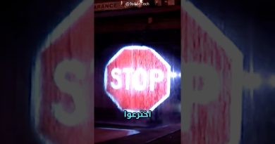 Un Stop Innovant : La Marque Qui Réinvente le Signal