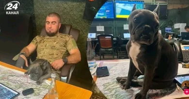 Un Ukrainien accusé «d'aider les Russes» avec des photos de son chien