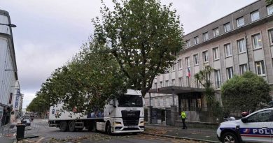 Un camion en fâcheuse posture dans le centre-ville de Brest