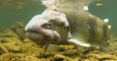 Un jeune pêcheur de 12 ans alerte sur la pollution des rivières neuchâteloises