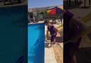 Un moment de détente au bord de la piscine