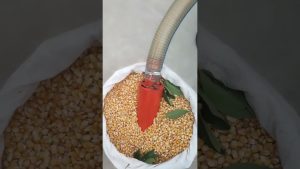 Un nouveau concasseur universel ultra-efficace à découvrir