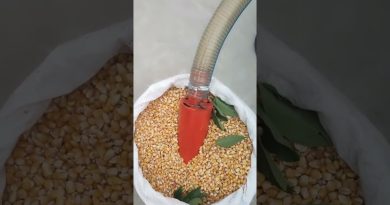 Un nouveau concasseur universel ultra-efficace à découvrir