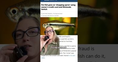 Un poisson commet par accident une fraude à la carte bleue !