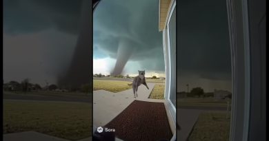 Une caméra Ring filme un chat aspiré par une tornade !
