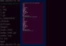 Utiliser la commande TEE sous Linux : enregistrement et affichage