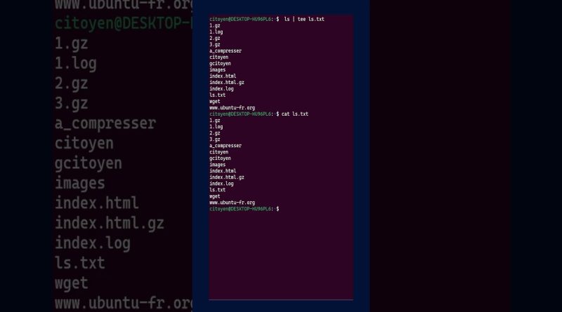 Utiliser la commande TEE sous Linux : enregistrement et affichage