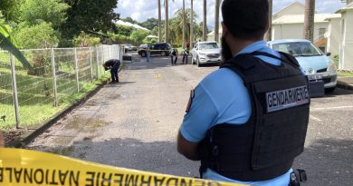 Vague de home-jackings en Guadeloupe : au moins une bande activement recherchée 