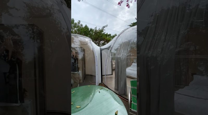 Vivez le luxe du glamping avec JC Starroom