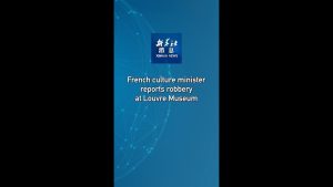 Vol au Louvre : le ministre de la Culture fait le bilan