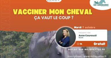 WEBINAIRE - Vacciner mon cheval, ça vaut le coup ?