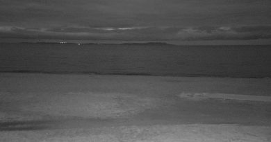 Webcam à Hyères : Vue sur L'Ayguade