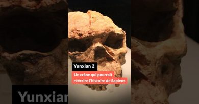 Yunxian 2 : un crâne qui pourrait changer l'histoire de Sapiens