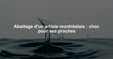 Abattage d'un artiste montréalais : choc pour ses proches