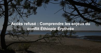 Accès refusé : Comprendre les enjeux du conflit Éthiopie-Érythrée