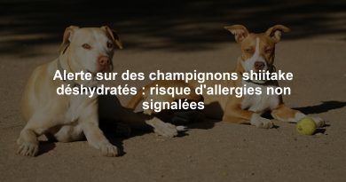 Alerte sur des champignons shiitake déshydratés : risque d'allergies non signalées