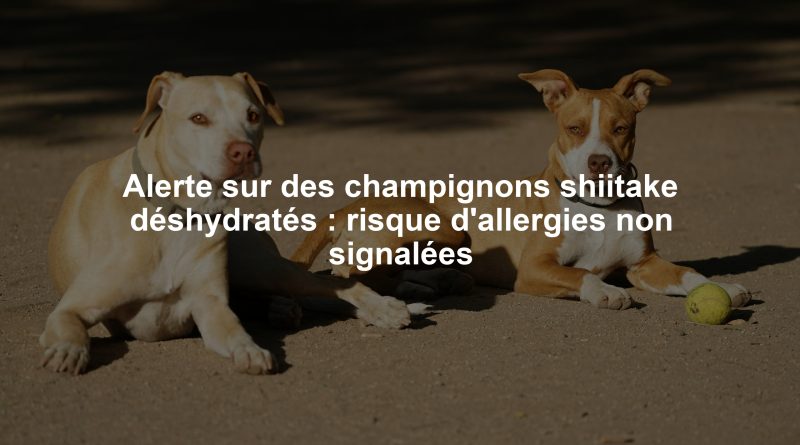 Alerte sur des champignons shiitake déshydratés : risque d'allergies non signalées